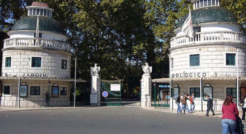 Zoo of Lisbon